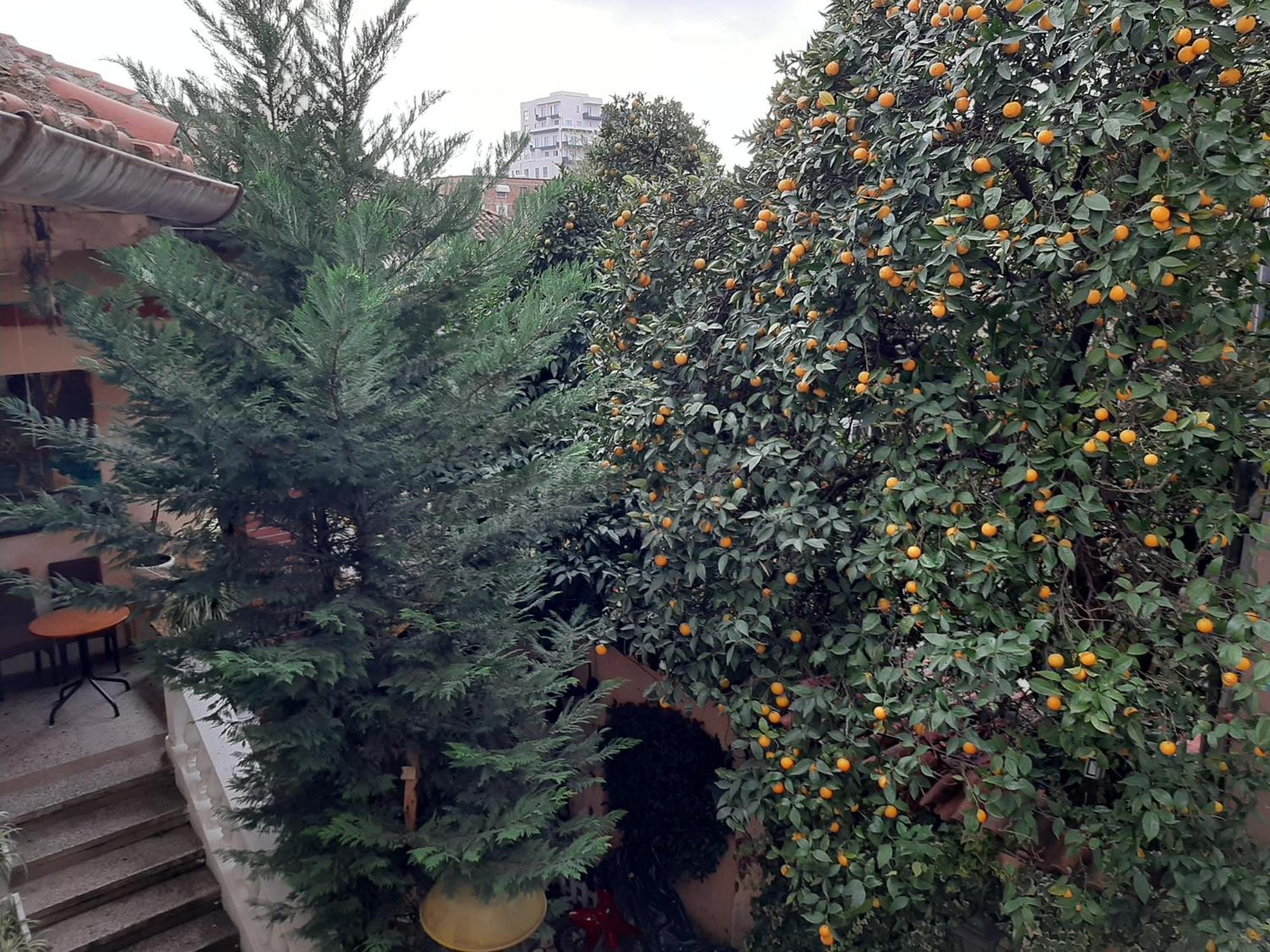 Enki'S Guesthouse Tirana Exterior foto